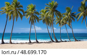 koa hawaii trees ai generated. Стоковое AI-изображение, AI-художник Vectorwin / Фотобанк Лори