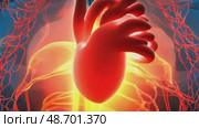 Anatomically correct human heart with venous system, realistic model. 3D illustration for medical applications, educational sites, websites. Стоковое AI-видео, аниматор ALLA YURTAYEVA / Фотобанк Лори