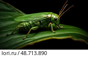 close leaf hopper ai generated. Стоковое AI-изображение, AI-художник Vectorwin / Фотобанк Лори