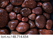 Wet black stones on a dark background. Стоковое фото, фотограф Sebastian Duda / PantherMedia / Фотобанк Лори