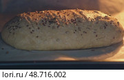 Golden brown whole grain bread loaf rising and baking in oven, topped with seeds, showing warmth and homemade freshness. Стоковое видео, видеограф Андрей Журавлев / Фотобанк Лори