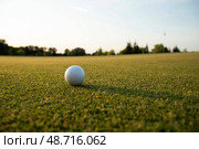 Closeup Golf ball on green grass on course, Sport and lifestyle. Стоковое фото, фотограф Sebastian Duda / PantherMedia / Фотобанк Лори