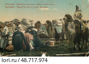 Перевозка груза на верблюдах киргизами в Астрахани, начало XX века, старая открытка. Стоковое фото, фотограф Retro / Фотобанк Лори