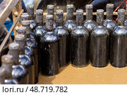 Бутылки с дорогим вином, которые хранились под водой. Бутылки, испачканные озерным илом. Стоковое фото, фотограф Evgenia Shevardina / Фотобанк Лори