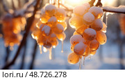 vineyard ice wine ai generated. Стоковое AI-изображение, AI-художник Vectorwin / Фотобанк Лори