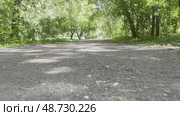 Camera movement along a park path on a sunny day. The play of shadows on the ground. Стоковое AI-видео, аниматор Ярославский Максим / Фотобанк Лори