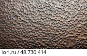 dimpled texture metal ai generated. Стоковое AI-изображение, AI-художник Vectorwin / Фотобанк Лори