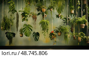 macrame hanging tropical leaves ai generated. Стоковое AI-изображение, AI-художник Vectorwin / Фотобанк Лори