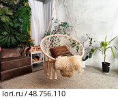 Hanging macrame chair in a cozy indoor space with plants and soft furnishings. Стоковое фото, фотограф Кривошеина Елена Леонидовна / Фотобанк Лори