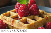 Square Belgian Waffle With raspberry, Food Photo For Restaurant. AI Generative. Стоковое AI-видео, аниматор Spirit River / Фотобанк Лори