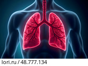 Human lungs affected by the virus. The illustration shows the internal structures of the chest, including the lungs, trachea and bronchi. Стоковое AI-изображение, AI-художник lyudmila Soloveva / Фотобанк Лори