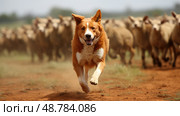 dog red heeler ai generated. Стоковое AI-изображение, AI-художник Vectorwin / Фотобанк Лори