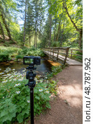 Digital camera recording time lapse in beautiful forest. Стоковое AI-изображение, AI-художник Юрий Поздников / Фотобанк Лори