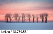 serene leafless trees ai generated. Стоковое AI-изображение, AI-художник Vectorwin / Фотобанк Лори
