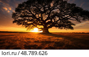 oak tree shadows ai generated. Стоковое AI-изображение, AI-художник Vectorwin / Фотобанк Лори