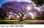 park jacaranda trees ai generated. Стоковое AI-изображение, AI-художник Vectorwin / Фотобанк Лори