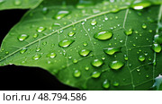 round water cohesion ai generated. Стоковое AI-изображение, AI-художник Vectorwin / Фотобанк Лори