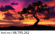 sunsilhouette savannah tree ai generated. Стоковое AI-изображение, AI-художник Vectorwin / Фотобанк Лори