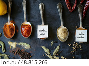 Spoons displaying vibrant spices and sauces with labels on dark background. Стоковое AI-изображение, AI-художник Андрей Знаменский / Фотобанк Лори