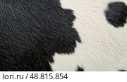 natural cowhide texture ai generated. Стоковое AI-изображение, AI-художник Vectorwin / Фотобанк Лори