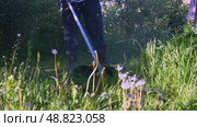 Gardener with grass trimmer mows lawn. Стоковое видео, видеограф Igor Skripachev / Фотобанк Лори