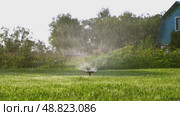 Automatic watering of the lawn in the garden. Стоковое видео, видеограф Igor Skripachev / Фотобанк Лори