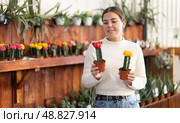 Woman chooses cacti. Стоковое фото, фотограф Яков Филимонов / Фотобанк Лори