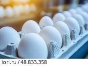 Chicken Eggs on a conveyor belt. Hatching and poultry farming. Egg factory industry. Egg selection process and grading production line with fresh eggs. Automated business, organic farming concept. Стоковое AI-изображение, AI-художник Марина Демидюк / Фотобанк Лори