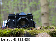 Старый черный пленочный зеркальный фотоаппарат на зеленом мшистом пне в лесу. Стоковое фото, фотограф Евгений Ковальский / Фотобанк Лори