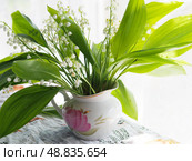 bouquet of lilies of the valley in porcelain milk jug. Стоковое фото, фотограф Елизавета Малкова / Фотобанк Лори