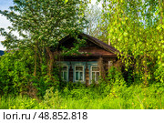 Заросший, деревянный, деревенский дом. Стоковое фото, фотограф Илья Старков / Фотобанк Лори