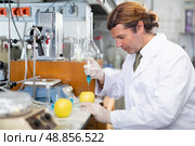 Geneticist working in laboratory, injecting additives into apple during experiments with genetically modified apple. Стоковое фото, фотограф Яков Филимонов / Фотобанк Лори