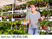 Positive girl choosing potted epipremnum aureum in gardening store. Стоковое фото, фотограф Яков Филимонов / Фотобанк Лори