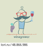 winegrower holds a bunch of grapes and looks at a glass of wine. Стоковая иллюстрация, агентство Ingram Publishing / Фотобанк Лори