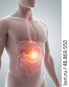 Male anatomy showing digestive system and acid reflux. Стоковое AI-изображение, AI-художник Гайфуллина Дина / Фотобанк Лори