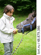 A boy feeding an apple to a donkey. Стоковое фото, агентство Ingram Publishing / Фотобанк Лори