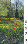 SAINT PETERSBURG, RUSSIA - May 19, 2025: Vertical video of people stroll in beautiful city park on Elagin Island, relax on benches and admire bright spring flower beds with tulips and daffodils on sunny May day. Panoramic view. Редакционное видео, видеограф Виктория Катьянова / Фотобанк Лори