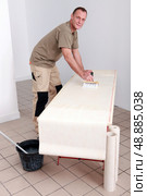 Artisan gluing wallpaper. Стоковое фото, агентство Ingram Publishing / Фотобанк Лори