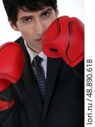 Businessman wearing boxing gloves. Стоковое фото, агентство Ingram Publishing / Фотобанк Лори