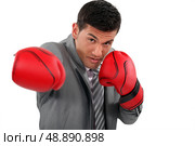 Businessman wearing boxing gloves. Стоковое фото, агентство Ingram Publishing / Фотобанк Лори
