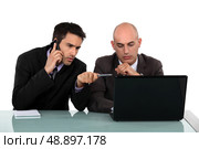 Executives in front of computer. Стоковое фото, агентство Ingram Publishing / Фотобанк Лори