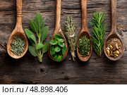A collection of spoons with various herbs and spices on a wooden surface. Стоковое AI-изображение, AI-художник Ярославский Максим / Фотобанк Лори