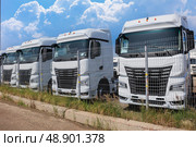 New Trucks For Sale. Стоковое фото, фотограф Юрий Бизгаймер / Фотобанк Лори