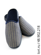 Pair of male slippers. Стоковое фото, агентство Ingram Publishing / Фотобанк Лори