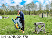 Solid polyurethane wheel is being tested as gardener lowers garden wheelbarrow to ground to evaluate smoothness and stability of newly installed wheel. Стоковое фото, фотограф Владимир Григорьев / Фотобанк Лори