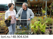 Elderly man and woman buyers carrying purchased plants in shopping trolley. Стоковое фото, фотограф Татьяна Яцевич / Фотобанк Лори