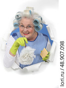 Woman with a feather duster. Стоковое фото, агентство Ingram Publishing / Фотобанк Лори