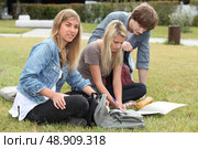 Teenagers sitting on grass. Стоковое фото, агентство Ingram Publishing / Фотобанк Лори