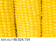 Extreme close up of yellow corn cobs. Стоковое фото, агентство Ingram Publishing / Фотобанк Лори