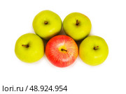 Stand out from crowd concept with apples isolated on white. Стоковое фото, агентство Ingram Publishing / Фотобанк Лори